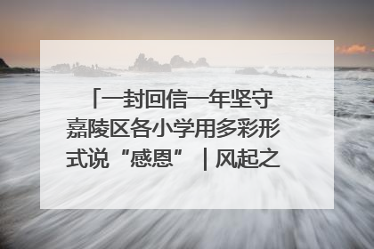 一封回信一年坚守 嘉陵区各小学用多彩形式说“感恩”｜风起之江 扶摇直上