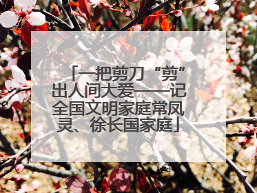 一把剪刀“剪”出人间大爱——记全国文明家庭常凤灵、徐长国家庭