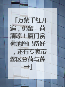 万紫千红开遍，仍留一荷清凉！厦门赏荷地图已备好，还有专家带您区分荷与莲→