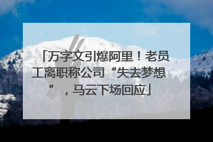 万字文引爆阿里！老员工离职称公司“失去梦想”，马云下场回应