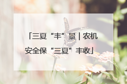 三夏“丰”景｜农机安全保“三夏”丰收