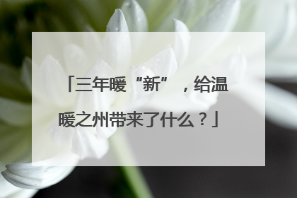 三年暖“新”，给温暖之州带来了什么？
