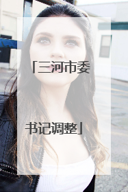 三河市委书记调整
