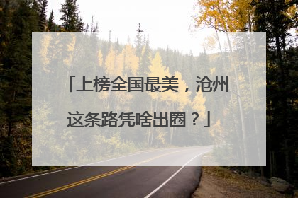 上榜全国最美，沧州这条路凭啥出圈？