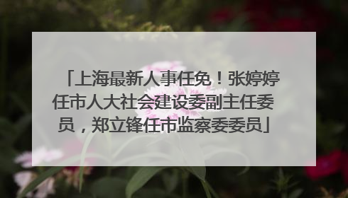 上海最新人事任免！张婷婷任市人大社会建设委副主任委员，郑立锋任市监察委委员