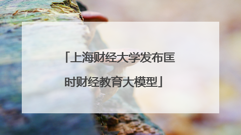 上海财经大学发布匡时财经教育大模型