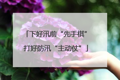 下好汛前“先手棋” 打好防汛“主动仗”