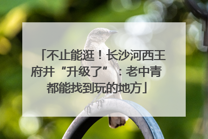 不止能逛！长沙河西王府井“升级了”：老中青都能找到玩的地方