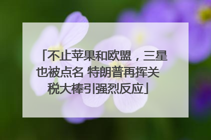 不止苹果和欧盟，三星也被点名 特朗普再挥关税大棒引强烈反应