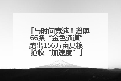与时间竞速！淄博66条“金色通道”跑出156万亩夏粮抢收“加速度”