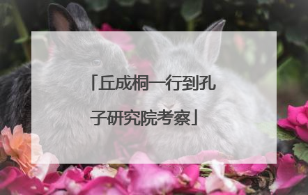丘成桐一行到孔子研究院考察