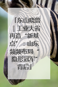 东山晓鲁｜工业大省再造“新基点”：山东频频布局“隐形冠军”背后