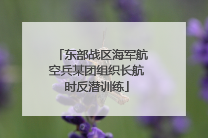 东部战区海军航空兵某团组织长航时反潜训练