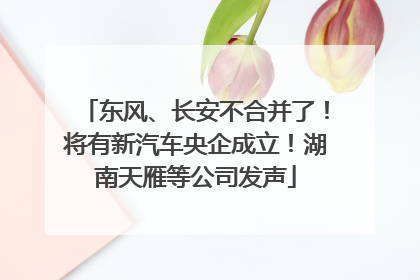 东风、长安不合并了！将有新汽车央企成立！湖南天雁等公司发声
