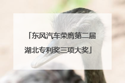 东风汽车荣膺第二届湖北专利奖三项大奖