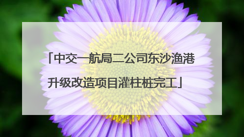 中交一航局二公司东沙渔港升级改造项目灌柱桩完工