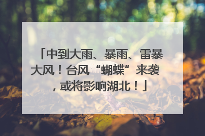 中到大雨、暴雨、雷暴大风！台风“蝴蝶”来袭，或将影响湖北！