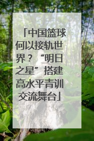 中国篮球何以接轨世界？“明日之星”搭建高水平青训交流舞台
