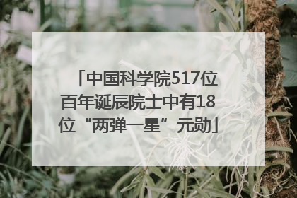 中国科学院517位百年诞辰院士中有18位“两弹一星”元勋