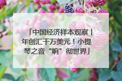 中国经济样本观察丨年创汇千万美元！小提琴之音“响”彻世界