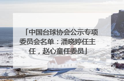 中国台球协会公示专项委员会名单：潘晓婷任主任，赵心童任委员