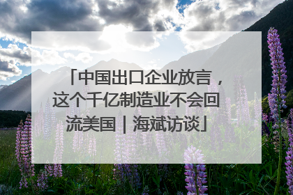 中国出口企业放言，这个千亿制造业不会回流美国｜海斌访谈