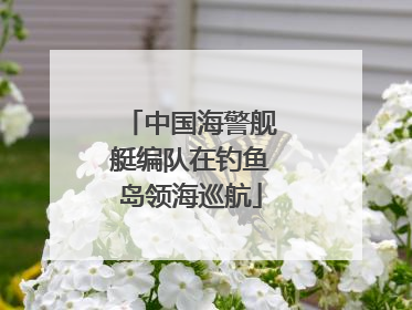 中国海警舰艇编队在钓鱼岛领海巡航