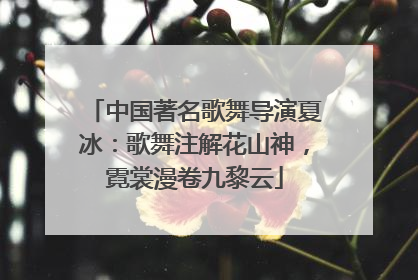 中国著名歌舞导演夏冰：歌舞注解花山神，霓裳漫卷九黎云