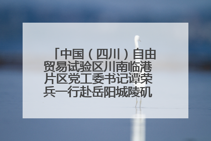 中国（四川）自由贸易试验区川南临港片区党工委书记谭荣兵一行赴岳阳城陵矶综保区考察