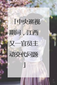 中央巡视期间，江西又一官员主动交代问题