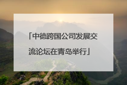 中德跨国公司发展交流论坛在青岛举行