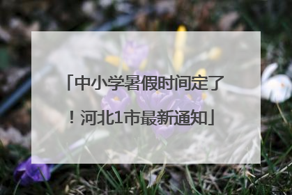 中小学暑假时间定了！河北1市最新通知