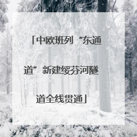 中欧班列“东通道”新建绥芬河隧道全线贯通
