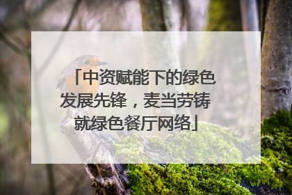 中资赋能下的绿色发展先锋，麦当劳铸就绿色餐厅网络