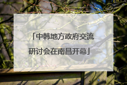 中韩地方政府交流研讨会在南昌开幕