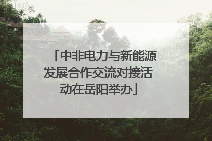 中非电力与新能源发展合作交流对接活动在岳阳举办