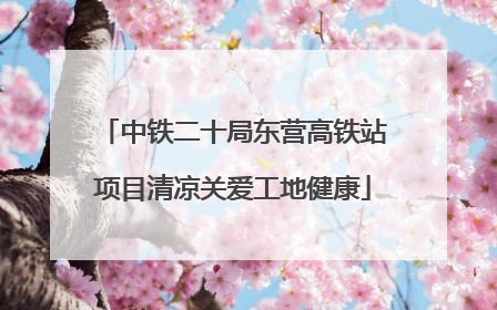 中铁二十局东营高铁站项目清凉关爱工地健康