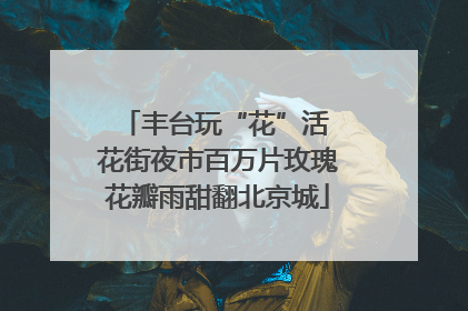 丰台玩“花”活 花街夜市百万片玫瑰花瓣雨甜翻北京城