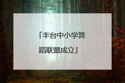 丰台中小学舞蹈联盟成立