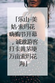 乐山-美姑·索玛花嗨购节开幕，诚邀游客打卡黄茅埂万亩索玛花海