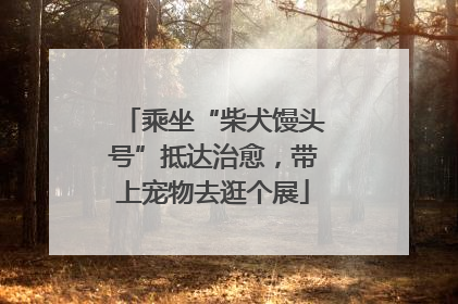 乘坐“柴犬馒头号”抵达治愈，带上宠物去逛个展