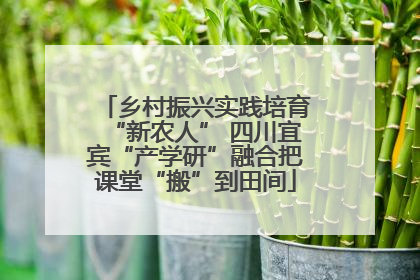 乡村振兴实践培育“新农人” 四川宜宾“产学研”融合把课堂“搬”到田间
