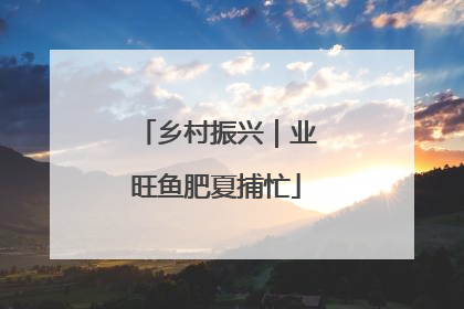 乡村振兴｜业旺鱼肥夏捕忙