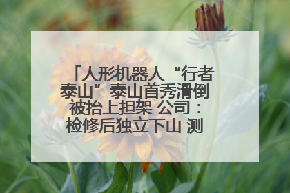 人形机器人“行者泰山”泰山首秀滑倒被抬上担架 公司：检修后独立下山 测试就是为暴露问题
