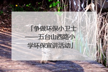 争做环保小卫士——五台山西路小学环保宣讲活动