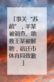 事关“苏超”，羊某被调查、助教王某被解聘，宿迁市体育局致歉