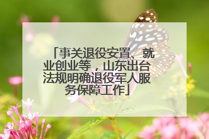 事关退役安置、就业创业等，山东出台法规明确退役军人服务保障工作