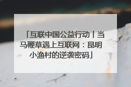 互联中国公益行动丨当马鞭草遇上互联网：昆明小渔村的逆袭密码