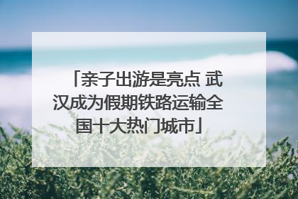 亲子出游是亮点 武汉成为假期铁路运输全国十大热门城市