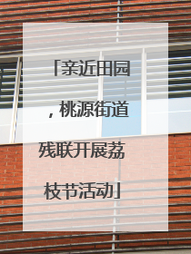 亲近田园，桃源街道残联开展荔枝节活动